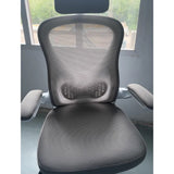 Ergonomic chair, waist protecting computer chair, comfortable sedentary office chair for home use, reclining gaming chair, and adjustable learning chair